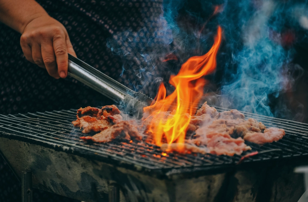 Choosing an electric grill