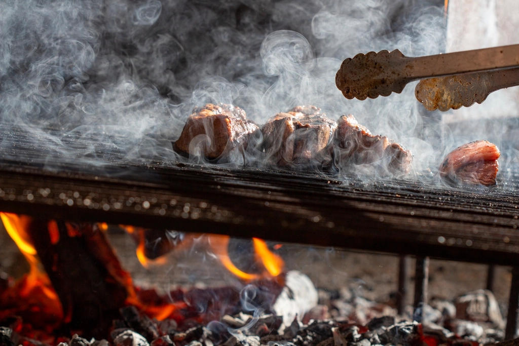 Grilled food on an electric grill